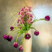 Love Purple
