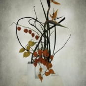 Autumnail