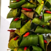 Chilli Hot Leaves