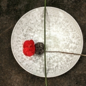 Line & Form