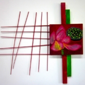 Lotus Lily