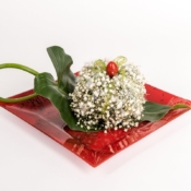 Merry Pudding