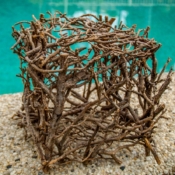 Nature Cube