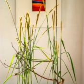 Painting & Ikebana