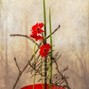 Red Tone