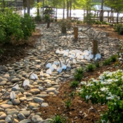 River Shell