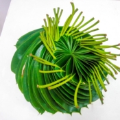 Spiral