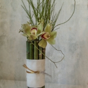 Tie the knot